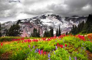 Nisqually Glacier-0162-3